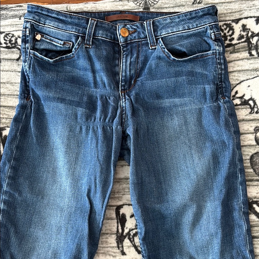 Joe's Jeans Blue Skinny Denim